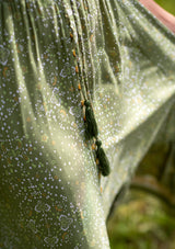 Simona Diamond Green Dress